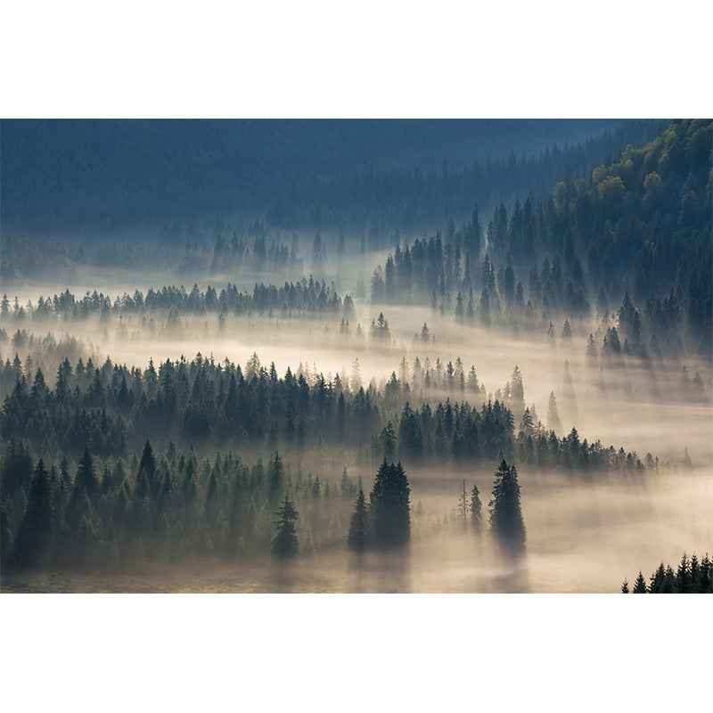 Photographic Misty Forest Wall Mural Big Wall Decor for House Interior, Custom Size Clearhalo 'Wall Decor' 'Wall Mural' 1895896
