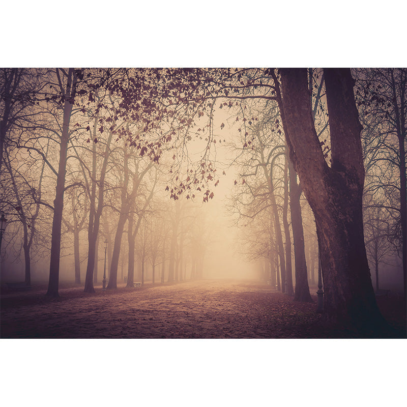 Photographic Misty Forest Wall Mural Big Wall Decor for House Interior, Custom Size Clearhalo 'Wall Decor' 'Wall Mural' 1895901