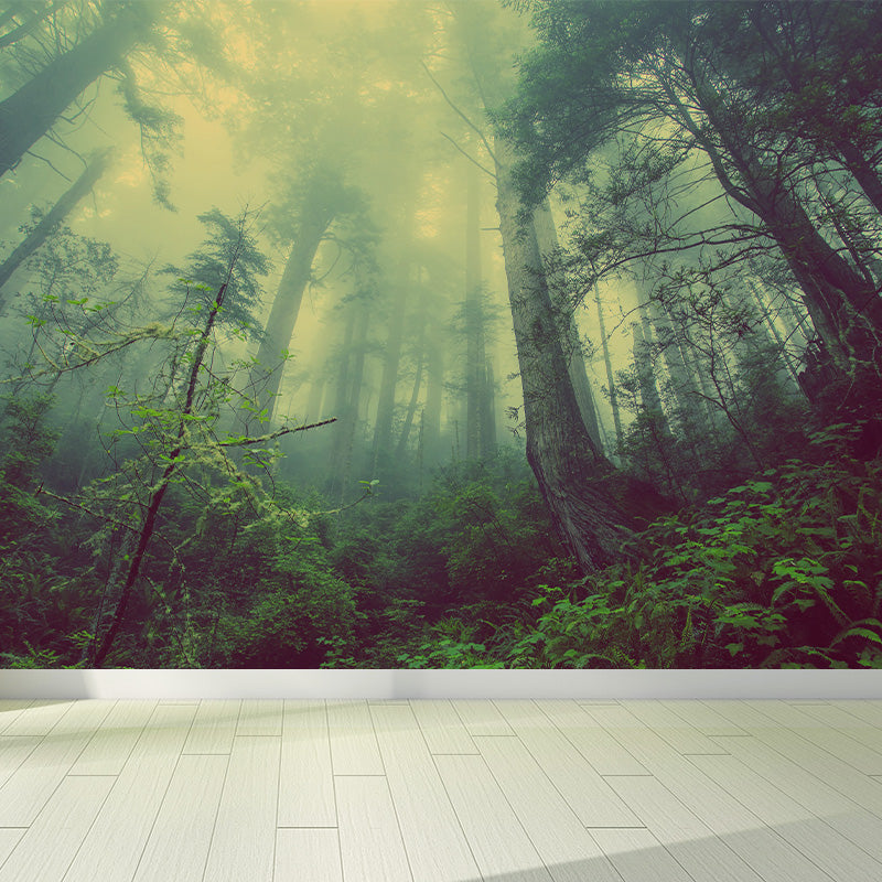 Cloudy Forest Landscape Mural Decal Contemporary Non-Woven Wall Covering in Soft Color Green Clearhalo 'Wall Decor' 'Wall Mural' 1895918