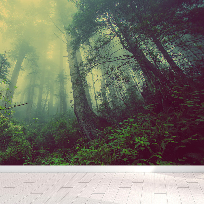 Cloudy Forest Landscape Mural Decal Contemporary Non-Woven Wall Covering in Soft Color Clearhalo 'Wall Decor' 'Wall Mural' 1895919