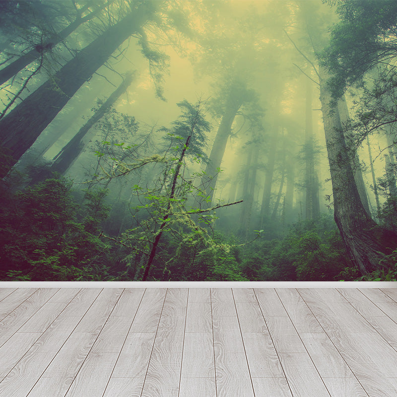 Cloudy Forest Landscape Mural Decal Contemporary Non-Woven Wall Covering in Soft Color Clearhalo 'Wall Decor' 'Wall Mural' 1895920