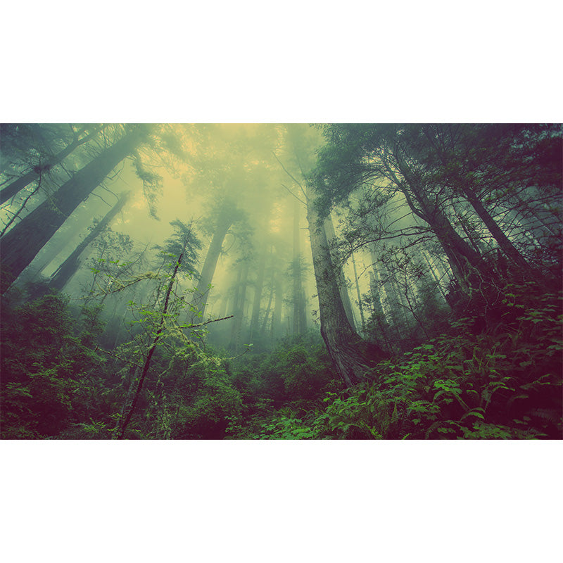 Cloudy Forest Landscape Mural Decal Contemporary Non-Woven Wall Covering in Soft Color Clearhalo 'Wall Decor' 'Wall Mural' 1895921