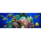 Tropical Underwater World Wallpaper Mural Colorful Moisture Resistant Wall Covering for Kids Room Clearhalo 'Wall Decor' 'Wall Mural' 1895961