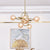 Gold Concentric Ring Pendant Light with Sphere Shade Amber/Clear/Smoke Glass Contemporary Chandelier for Living Room 6 Amber Clearhalo 'Ceiling Lights' 'Chandeliers' 'Clear' 'Glass shade' 'Glass' 'Industrial' 'Modern Chandeliers' 'Modern' 'Tiffany' 'Traditional Chandeliers' Lighting' 189599