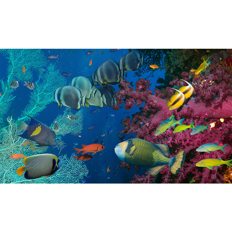 Stunning Underwater World Mural Child Bedroom Seascape Wall Art, Made to Measure Clearhalo 'Wall Decor' 'Wall Mural' 1896031