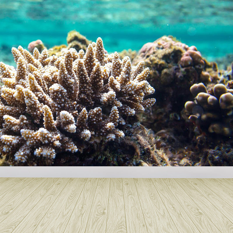 Bright Tropix Wall Paper Mural Large World Beneath the Ocean Surface Wall Decor for Room Clearhalo 'Wall Decor' 'Wall Mural' 1896059