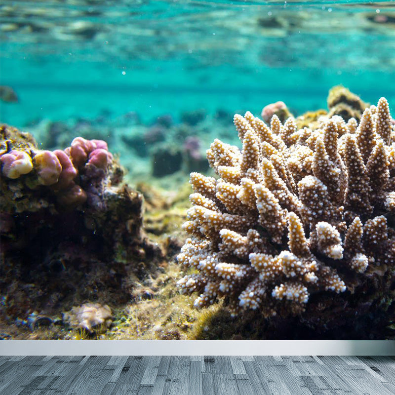 Bright Tropix Wall Paper Mural Large World Beneath the Ocean Surface Wall Decor for Room Clearhalo 'Wall Decor' 'Wall Mural' 1896060