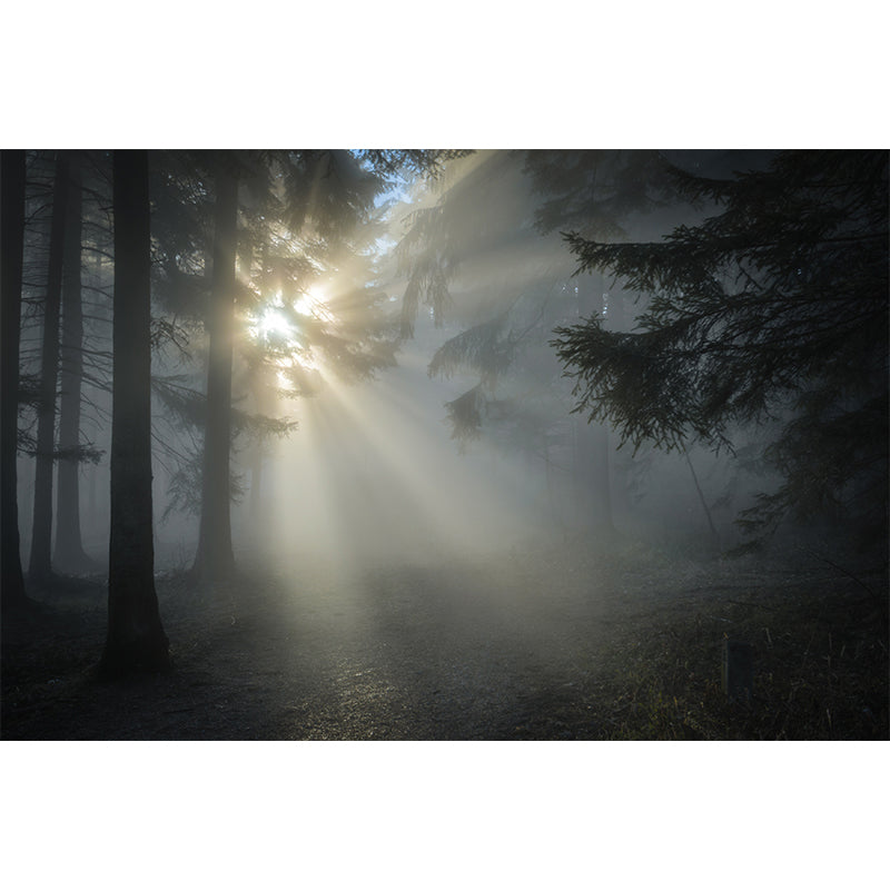 Light Color Misty Landscape Mural Moisture Resistant Modern Style Bedroom Wall Art Clearhalo 'Wall Decor' 'Wall Mural' 1897161