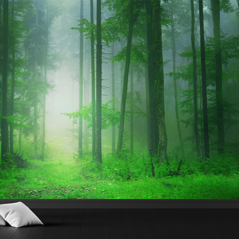 Photographic Print Cloud Forest Mural for Living Room, Dark Color, Customized Size Green Clearhalo 'Wall Decor' 'Wall Mural' 1897183