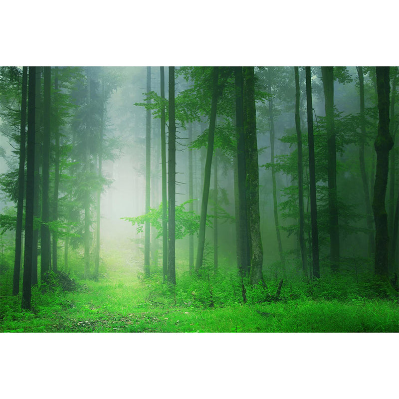 Photographic Print Cloud Forest Mural for Living Room, Dark Color, Customized Size Clearhalo 'Wall Decor' 'Wall Mural' 1897186