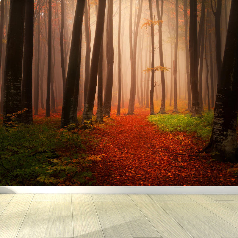 Photographic Print Cloud Forest Mural for Living Room, Dark Color, Customized Size Red Clearhalo 'Wall Decor' 'Wall Mural' 1897188