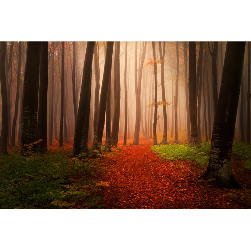 Photographic Print Cloud Forest Mural for Living Room, Dark Color, Customized Size Clearhalo 'Wall Decor' 'Wall Mural' 1897191