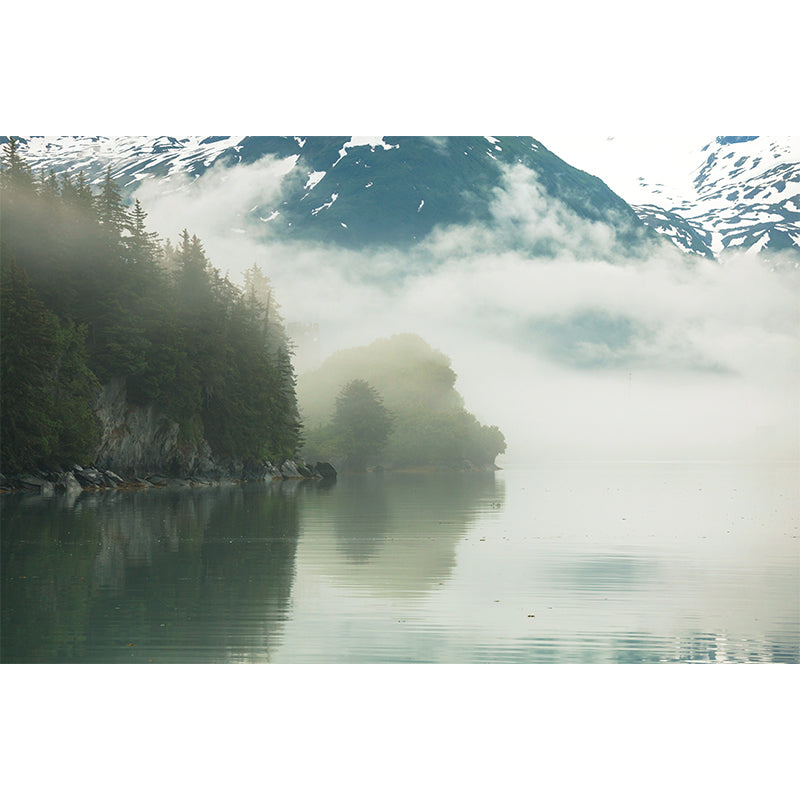 Photographic Print Cloud Forest Mural for Living Room, Dark Color, Customized Size Clearhalo 'Wall Decor' 'Wall Mural' 1897196