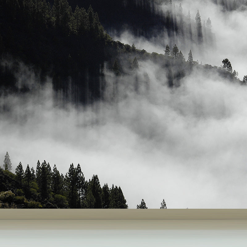 Photographic Print Cloud Forest Mural for Living Room, Dark Color, Customized Size Clearhalo 'Wall Decor' 'Wall Mural' 1897200