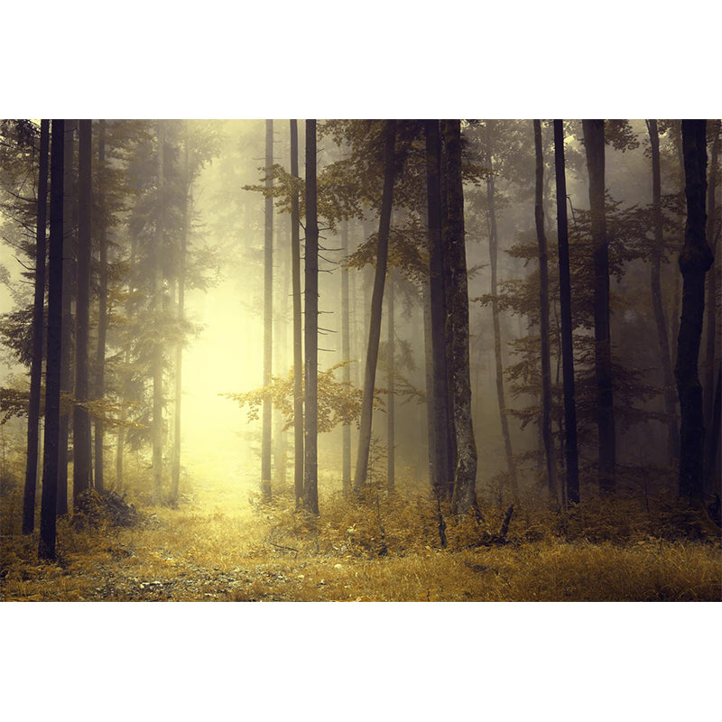 Misty Forest Scenery Wall Mural Modern Non-Woven Wall Decor in Soft Color for Home Clearhalo 'Wall Decor' 'Wall Mural' 1897206