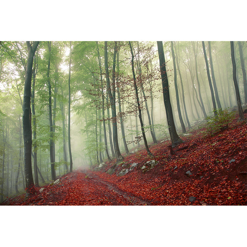 Misty Forest Scenery Wall Mural Modern Non-Woven Wall Decor in Soft Color for Home Clearhalo 'Wall Decor' 'Wall Mural' 1897221