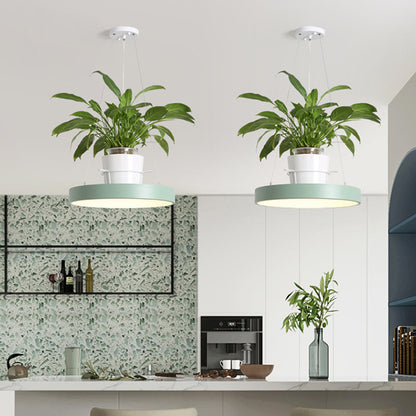 ceiling plant pot Macaron Round Hanging Light Acrylic LED Pendant Lighting Fixture in Black/Grey/White with Top Plant Pot