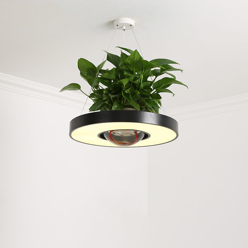 16"/19.5" W Acrylic LED Ceiling Hang Light Nordic Black/White/Green Circle Dining Room Down Lighting with Fish Bowl Clearhalo 'Art Deco Pendants' 'Black' 'Cast Iron' 'Ceiling Lights' 'Ceramic' 'Crystal' 'Industrial Pendants' 'Industrial' 'Metal' 'Middle Century Pendants' 'Pendant Lights' 'Pendants' 'Rustic Pendants' 'Tiffany' Lighting' 1909650