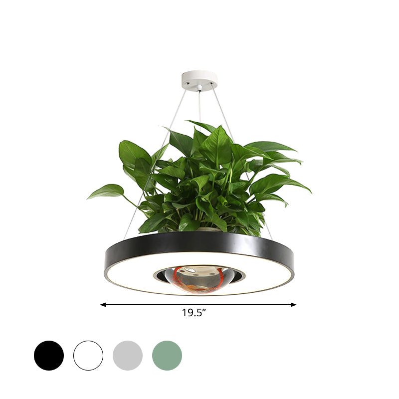 16"/19.5" W Acrylic LED Ceiling Hang Light Nordic Black/White/Green Circle Dining Room Down Lighting with Fish Bowl Clearhalo 'Art Deco Pendants' 'Black' 'Cast Iron' 'Ceiling Lights' 'Ceramic' 'Crystal' 'Industrial Pendants' 'Industrial' 'Metal' 'Middle Century Pendants' 'Pendant Lights' 'Pendants' 'Rustic Pendants' 'Tiffany' Lighting' 1909653
