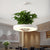 16"/19.5" W Acrylic LED Ceiling Hang Light Nordic Black/White/Green Circle Dining Room Down Lighting with Fish Bowl White Clearhalo 'Art Deco Pendants' 'Black' 'Cast Iron' 'Ceiling Lights' 'Ceramic' 'Crystal' 'Industrial Pendants' 'Industrial' 'Metal' 'Middle Century Pendants' 'Pendant Lights' 'Pendants' 'Rustic Pendants' 'Tiffany' Lighting' 1909654