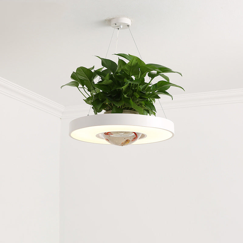 16"/19.5" W Acrylic LED Ceiling Hang Light Nordic Black/White/Green Circle Dining Room Down Lighting with Fish Bowl Clearhalo 'Art Deco Pendants' 'Black' 'Cast Iron' 'Ceiling Lights' 'Ceramic' 'Crystal' 'Industrial Pendants' 'Industrial' 'Metal' 'Middle Century Pendants' 'Pendant Lights' 'Pendants' 'Rustic Pendants' 'Tiffany' Lighting' 1909655