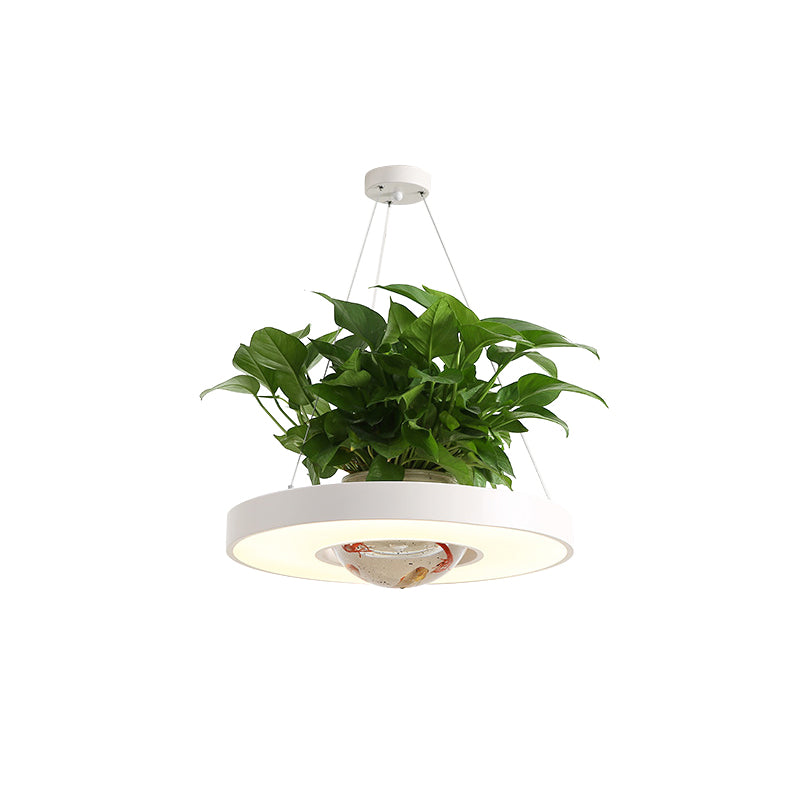 16"/19.5" W Acrylic LED Ceiling Hang Light Nordic Black/White/Green Circle Dining Room Down Lighting with Fish Bowl Clearhalo 'Art Deco Pendants' 'Black' 'Cast Iron' 'Ceiling Lights' 'Ceramic' 'Crystal' 'Industrial Pendants' 'Industrial' 'Metal' 'Middle Century Pendants' 'Pendant Lights' 'Pendants' 'Rustic Pendants' 'Tiffany' Lighting' 1909656