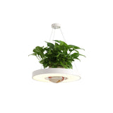 16"/19.5" W Acrylic LED Ceiling Hang Light Nordic Black/White/Green Circle Dining Room Down Lighting with Fish Bowl Clearhalo 'Art Deco Pendants' 'Black' 'Cast Iron' 'Ceiling Lights' 'Ceramic' 'Crystal' 'Industrial Pendants' 'Industrial' 'Metal' 'Middle Century Pendants' 'Pendant Lights' 'Pendants' 'Rustic Pendants' 'Tiffany' Lighting' 1909656