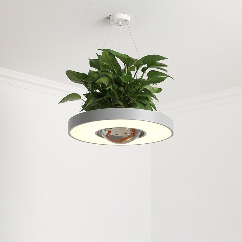 16"/19.5" W Acrylic LED Ceiling Hang Light Nordic Black/White/Green Circle Dining Room Down Lighting with Fish Bowl Clearhalo 'Art Deco Pendants' 'Black' 'Cast Iron' 'Ceiling Lights' 'Ceramic' 'Crystal' 'Industrial Pendants' 'Industrial' 'Metal' 'Middle Century Pendants' 'Pendant Lights' 'Pendants' 'Rustic Pendants' 'Tiffany' Lighting' 1909658
