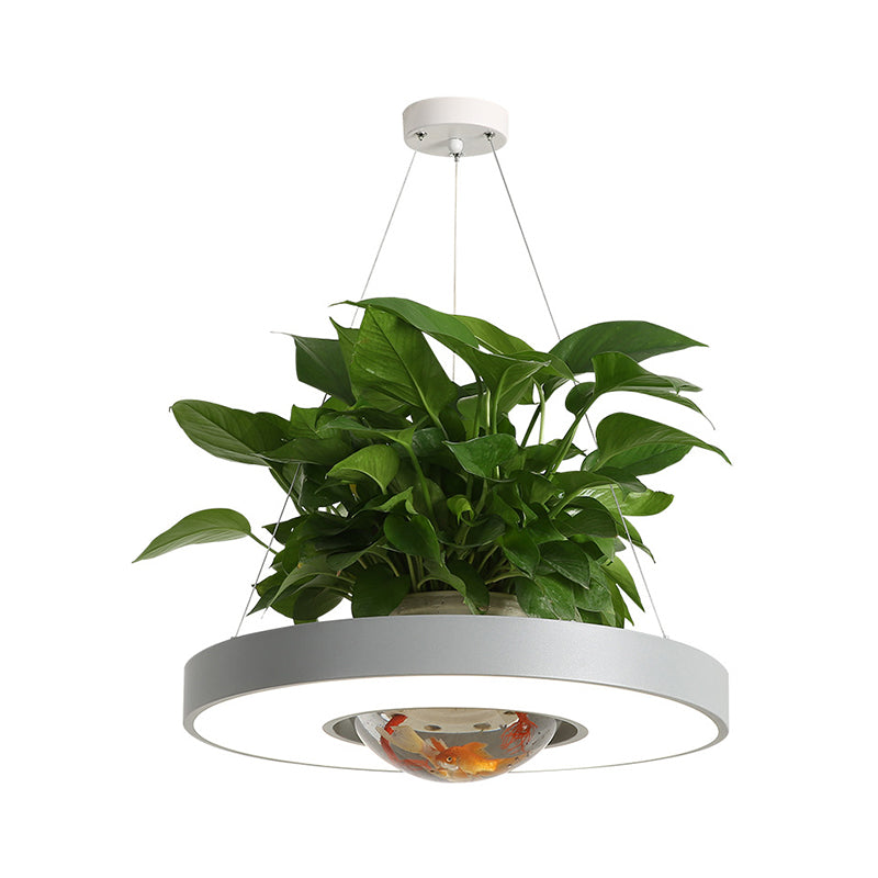 16"/19.5" W Acrylic LED Ceiling Hang Light Nordic Black/White/Green Circle Dining Room Down Lighting with Fish Bowl Clearhalo 'Art Deco Pendants' 'Black' 'Cast Iron' 'Ceiling Lights' 'Ceramic' 'Crystal' 'Industrial Pendants' 'Industrial' 'Metal' 'Middle Century Pendants' 'Pendant Lights' 'Pendants' 'Rustic Pendants' 'Tiffany' Lighting' 1909659