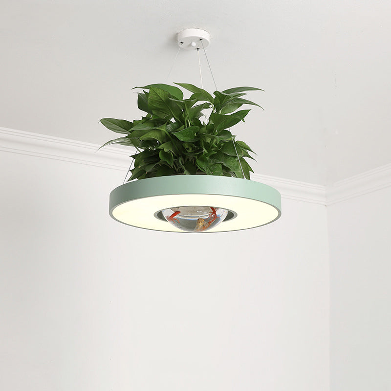 16"/19.5" W Acrylic LED Ceiling Hang Light Nordic Black/White/Green Circle Dining Room Down Lighting with Fish Bowl Clearhalo 'Art Deco Pendants' 'Black' 'Cast Iron' 'Ceiling Lights' 'Ceramic' 'Crystal' 'Industrial Pendants' 'Industrial' 'Metal' 'Middle Century Pendants' 'Pendant Lights' 'Pendants' 'Rustic Pendants' 'Tiffany' Lighting' 1909661