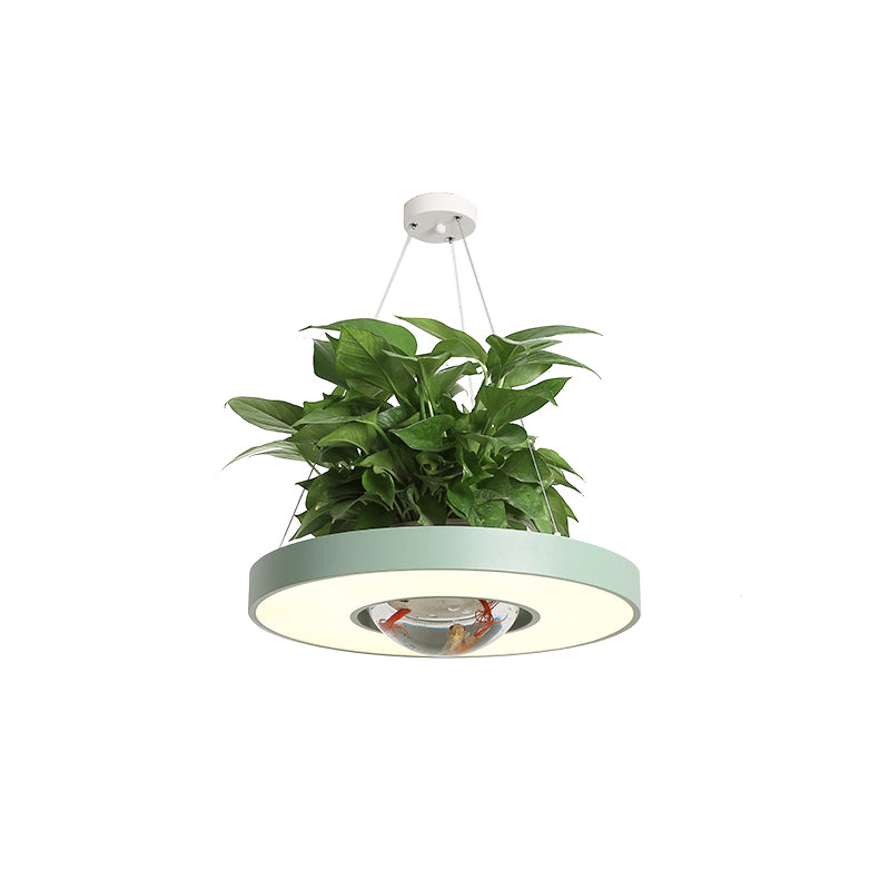 16"/19.5" W Acrylic LED Ceiling Hang Light Nordic Black/White/Green Circle Dining Room Down Lighting with Fish Bowl Clearhalo 'Art Deco Pendants' 'Black' 'Cast Iron' 'Ceiling Lights' 'Ceramic' 'Crystal' 'Industrial Pendants' 'Industrial' 'Metal' 'Middle Century Pendants' 'Pendant Lights' 'Pendants' 'Rustic Pendants' 'Tiffany' Lighting' 1909662