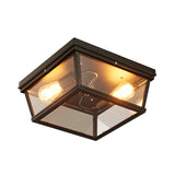 Black Cube Flush Mount Ceiling Light Farmhouse Clear Glass 2 Bulbs Kitchen Flushmount Lighting Clearhalo 'Ceiling Lights' 'Close To Ceiling Lights' 'Close to ceiling' 'Flush mount' 'Industrial Flush Mount' Lighting' 1917473