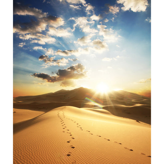Desert with Footprint Wall Mural Modern Beautiful Wild Landscape Wall Decor in Yellow Clearhalo 'Wall Decor' 'Wall Mural' 1920633