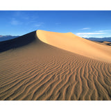 Modern Desert Wall Mural Decal Yellow Split View of the Dune Wall Covering for Accent Wall Clearhalo 'Wall Decor' 'Wall Mural' 1920743