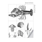 Stick On Grey Kids Wallpaper Panels 8' x 8" Lobster and Sea Shell Pattern Wall Art for Home Clearhalo 'Wall Decor' 'Wallpaper' 1922115