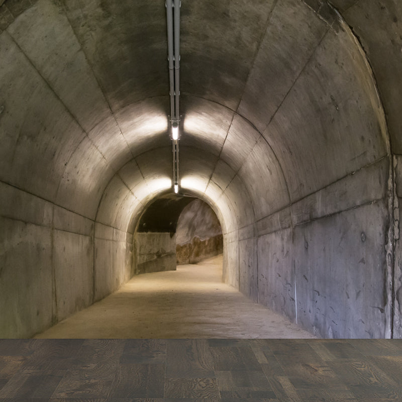 Photography Style Tunnel Mural Decal for Living Room, Pastel Color, Personalized Clearhalo 'Wall Decor' 'Wall Mural' 1922772