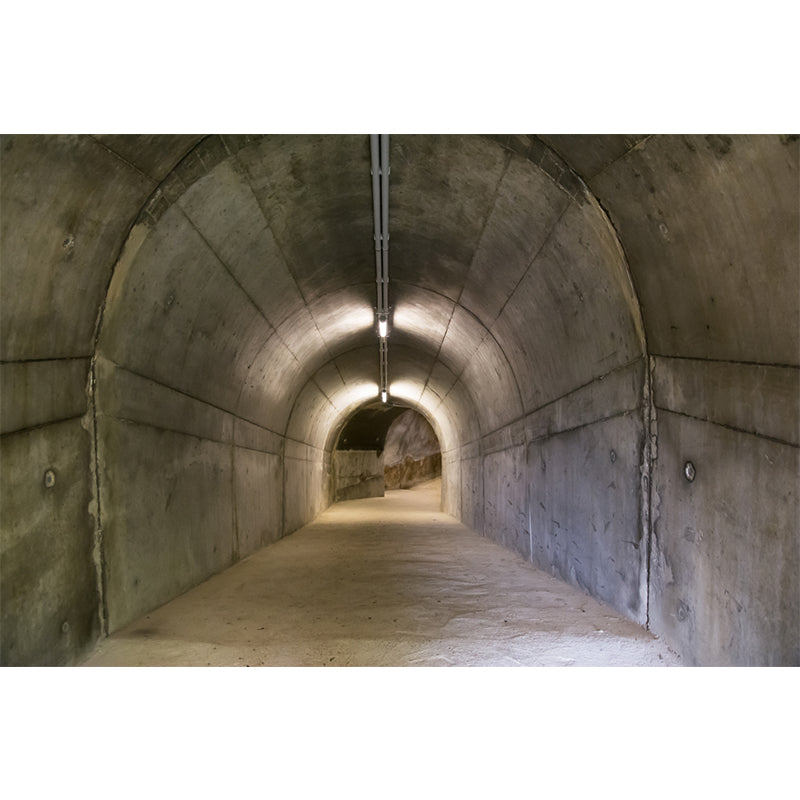 Photography Style Tunnel Mural Decal for Living Room, Pastel Color, Personalized Clearhalo 'Wall Decor' 'Wall Mural' 1922774