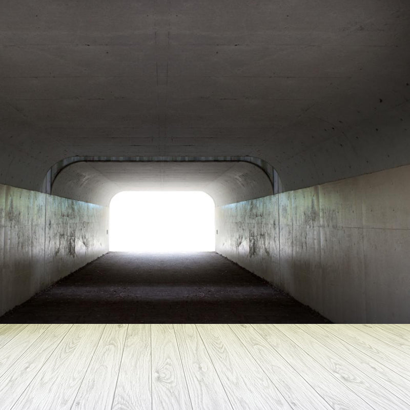 Photography Style Tunnel Mural Decal for Living Room, Pastel Color, Personalized Clearhalo 'Wall Decor' 'Wall Mural' 1922783