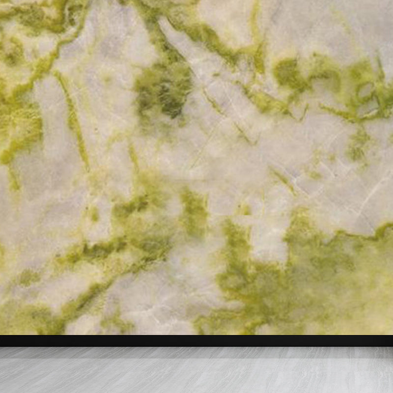 Light Color Marble Look Mural Wallpaper Texture Contemporary Stain Resistant Wall Art Green Clearhalo 'Wall Decor' 'Wall Mural' 1922791
