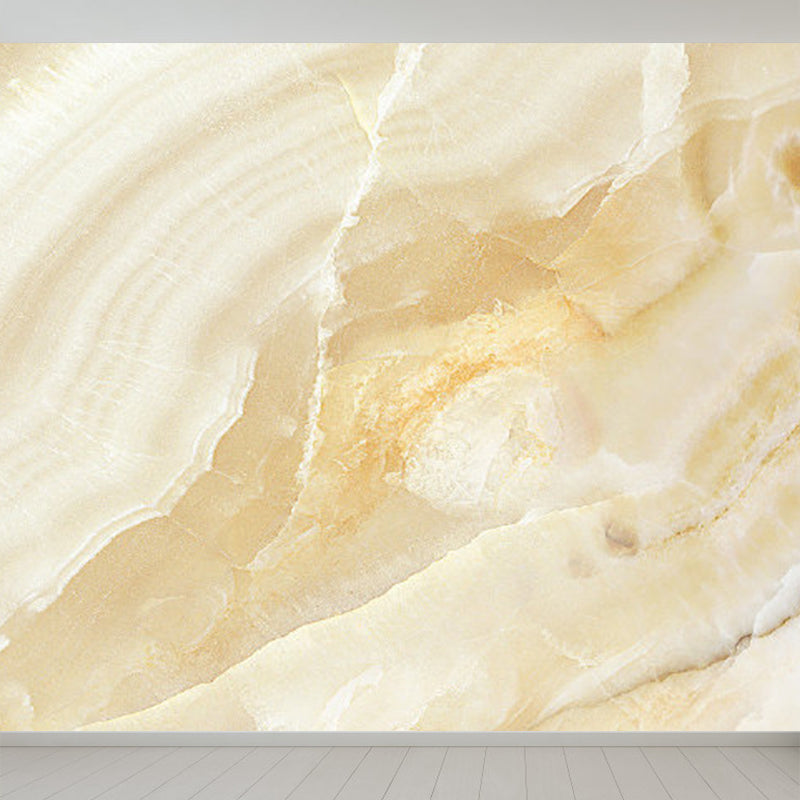 Light Color Abstract Print Mural Wallpaper Moisture-Proof Wall Art for Dining Room Clearhalo 'Wall Decor' 'Wall Mural' 1922863