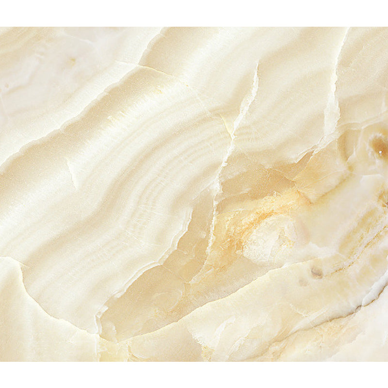 Light Color Abstract Print Mural Wallpaper Moisture-Proof Wall Art for Dining Room Clearhalo 'Wall Decor' 'Wall Mural' 1922864