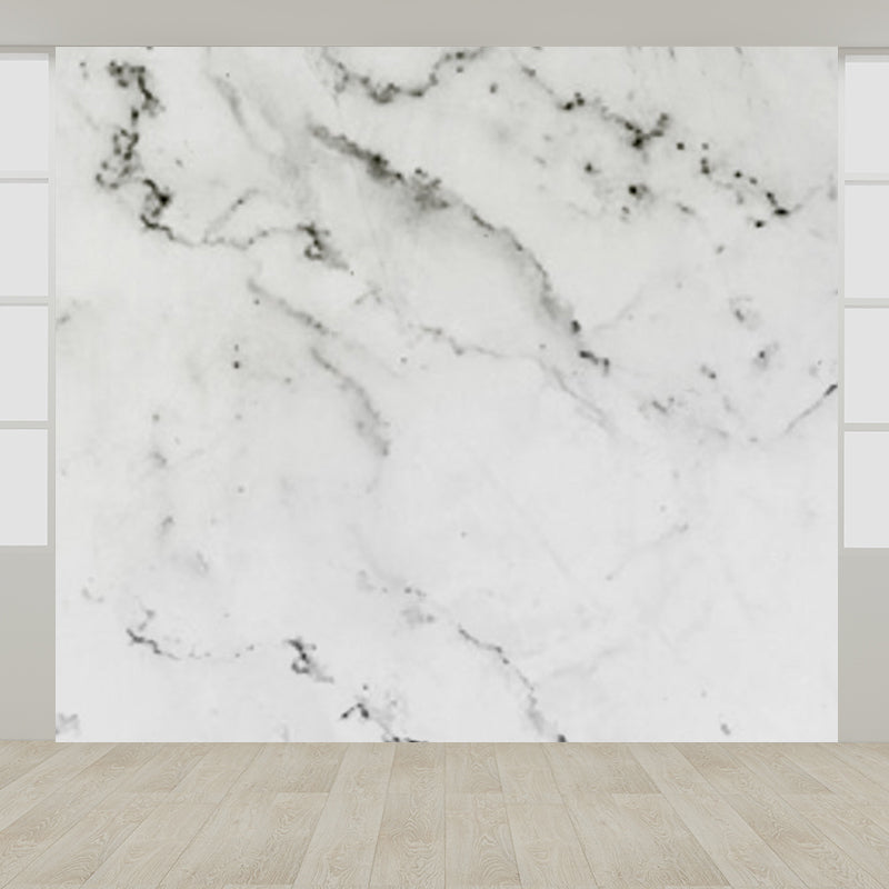 Light Color Abstract Print Mural Wallpaper Moisture-Proof Wall Art for Dining Room White Clearhalo 'Wall Decor' 'Wall Mural' 1922866