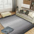 Plain Color Simple Style Rug Polyester Ombre Area Carpet Machine Washable Anti-Slip Rug for Living Room Dark Gray Clearhalo 'Area Rug' 'Modern' 'Rugs' Rug' 1927554