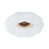 Cartoon Cloud Ceiling Mount Light Acrylic Corridor LED Flush Mounted Light Fixture in White/Blue/Coffee Clearhalo 'Ceiling Lights' 'Close To Ceiling Lights' 'Close to ceiling' 'Flush mount' Lighting' 1936248