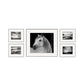 Photography Horse Pattern Wall Decor Dining Room Wild Animal Canvas Art in Light Color Clearhalo 'Arts' 'Canvas Art' 1956447