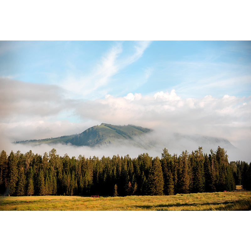 Nature Scenery Mountain Mural Decal Modern Smooth Wall Covering for House Interior Clearhalo 'Wall Decor' 'Wall Mural' 1956989