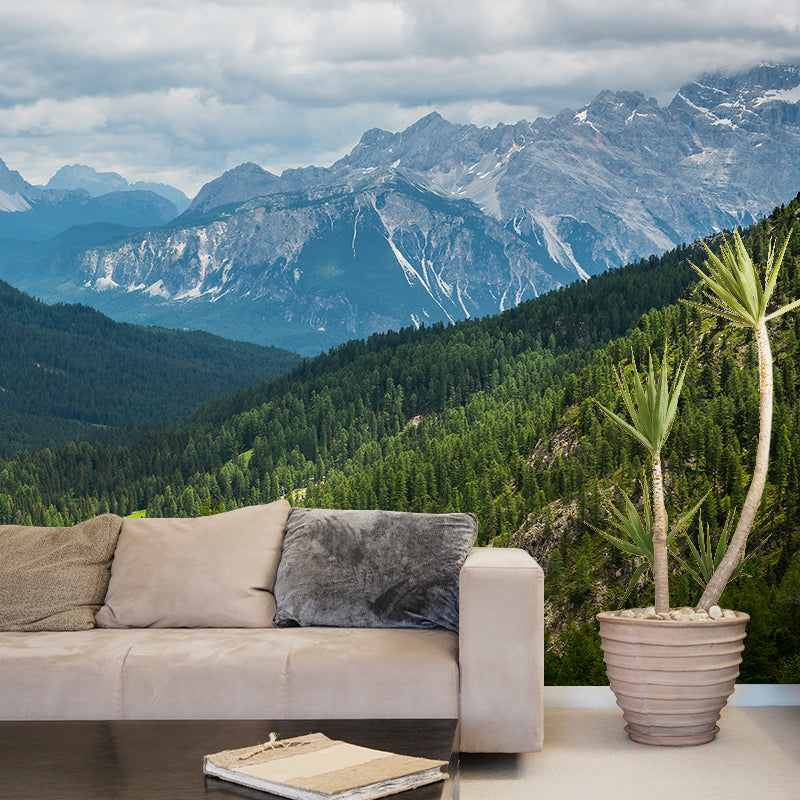 Nature Scenery Mountain Mural Decal Modern Smooth Wall Covering for House Interior Clearhalo 'Wall Decor' 'Wall Mural' 1956997