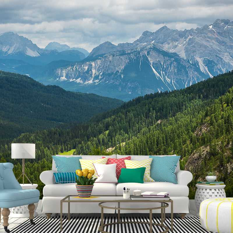 Nature Scenery Mountain Mural Decal Modern Smooth Wall Covering for House Interior Clearhalo 'Wall Decor' 'Wall Mural' 1956998