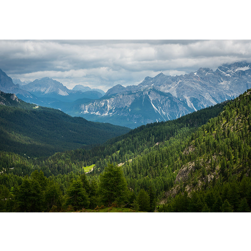 Nature Scenery Mountain Mural Decal Modern Smooth Wall Covering for House Interior Clearhalo 'Wall Decor' 'Wall Mural' 1956999