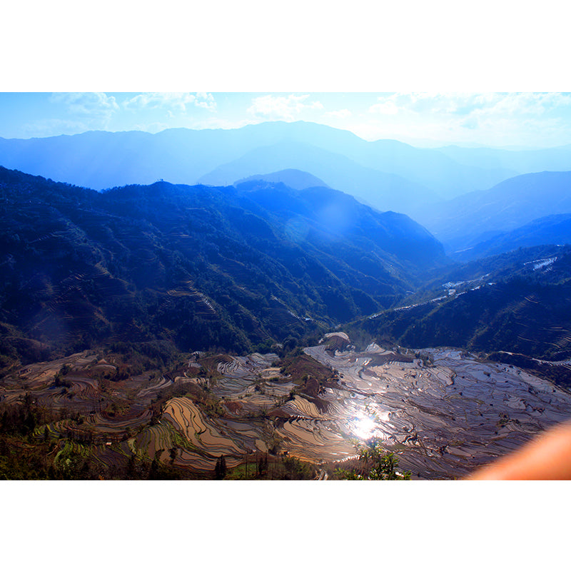 Nature Scenery Mountain Mural Decal Modern Smooth Wall Covering for House Interior Clearhalo 'Wall Decor' 'Wall Mural' 1957004